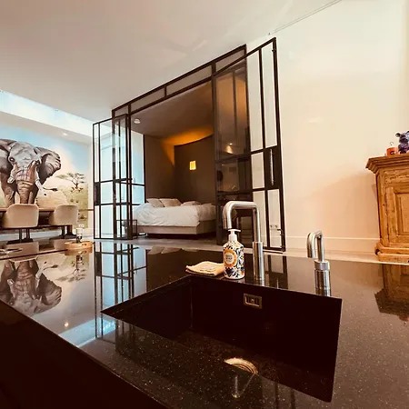 Luxe Gemeubileerd آيندهوفن
