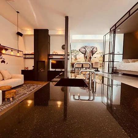 Luxe Gemeubileerd