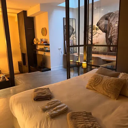 Luxe Gemeubileerd Apartment